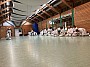 IMG_0943.jpg IMG_0943.jpg