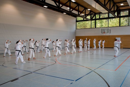 Budo-Lehrgang 2026_001.jpg