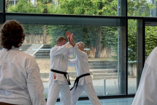 Budo-Lehrgang 2026_006.jpg