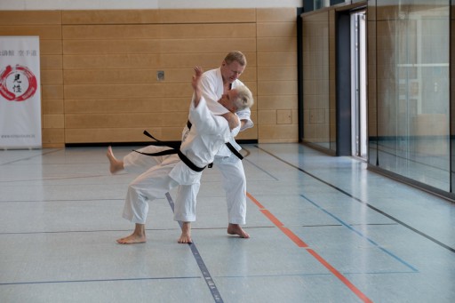 Budo-Lehrgang 2026_013.jpg
