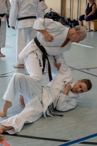Budo-Lehrgang 2026_019.jpg
