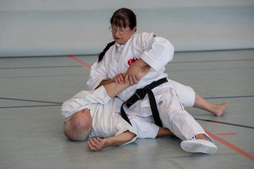 Budo-Lehrgang 2026_038.jpg