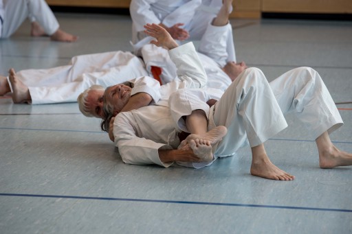 Budo-Lehrgang 2026_039.jpg