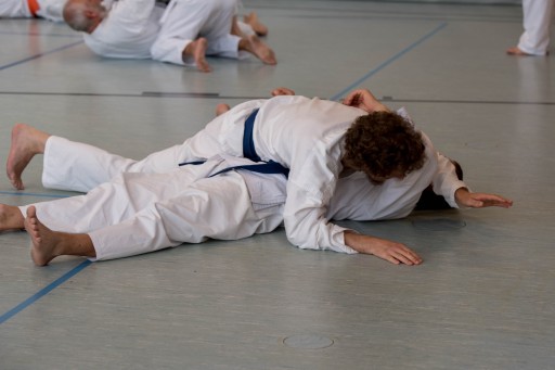 Budo-Lehrgang 2026_050.jpg