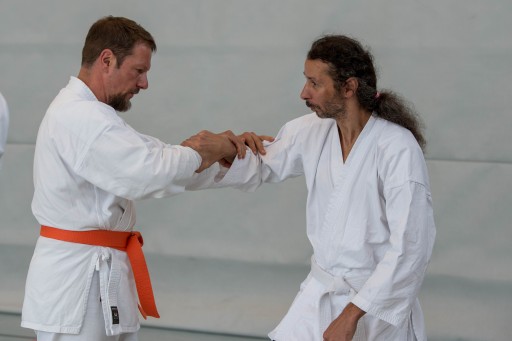 Budo-Lehrgang 2026_055.jpg
