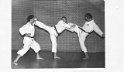 Karate1