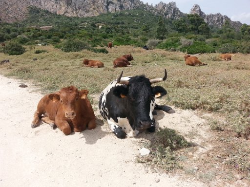 20160627_161821.jpg - ø;    7       [         4xV4xV4xV4       _ å\ è      ÿÿaú7                              ýý                                                                                                                                                                                                                  C A L ZHFJ02    Cur.ZHFJ02CML 018001001509FD1301090201010D011601160967ï B ë&      T U N A  Ð[ «e    "m $Ì w/ÿÿe  Òÿÿî3 úÿÿ¨  qLÿÿç¡   FLFL SVN#g                                                                                                                   ®    Ð[ +&+ eZ                          ok                                                    "  À ø                8                                                                                                                                                                                                                                                               JKJK%ì  àû  µ¥  Y¨  £    dX     [              àd    o «e    "m $Ì w/ÿÿe  Òÿÿî3 úÿÿ¨  qLÿÿç¡ JKJKp   `   `   `   `   P3 P3 P3 0             `   P3 0 1" A" A" 1" 1" 1" 1" 0 0 0     1" 1" 1" 1" 1" 2w 1" 1" 1" 2w 1" 1" 1" 1" 1" 1" 2w 2w 1" 2w 2w 2w 2w 2w 2w 1" 2w 2w 2w 2w 2w 2w Bw Bw R   R   Bw Bw R   R   R   R   R   R   Bw Bw R   R   R   R   R   R   R   b   R   b   R   R   R   R   b   R   R   b   Q3 Q3 R   R   R   R   R   Q3 Q3 Q3 R   R   R   b   R   R   `   `   Q3 R   b   R   Q3 `    P3 R   R   R   R   R   R   `   `   a qª qª a P3 `    P3 R   R   R   R   R   R   `   `   a qª qª qª Q3   P3 a Q3 a R   R   R   `   `   a qª qª qª a `   `   `   a a a Q3 a R   `   `   a a a `   a `   `   P3 Q3 Q3 a a a a `   `   `   `   a `   a a a Q3 Q3 Q3 a a a a `   `   `   `   `   a a a a Q3 Q3 Q3 a a a Q3 `   `   `   `   `   `   a a a a Q3 a a a a a `   `   `   `   `   `   `   `   `   a `   a a a a a JKJKôn    L tr ÿÿ  £ ÐJ úÿ  f                                     ±i   rZ FV þÿ  ¿V             /     ²d âÿ  ìn ¶d âÿ  Ún ¶d âÿ  Ún ¶d âÿ  Ún             â                                                                                                                                                                                                                                                                          ýAFAF¹ Ö¹  /^ ì *
 #
 htf Bóf 94G ÉµG *÷k    k     Ä z© Ý¹© ¯¦Ã DÃ qÁ    Á    º  5º% a³ ·³, ñ¬ #ù¬. zÆ¥ Ý¥, Ùu Iy" mÓ¬ Õ¡¬ #\ª    ª    ª    ª    ª    ª    ª    ª          AFAF ±ZH ¬  AFAFä                                                                                                                                                                                                                                                                                                                                       Þ°ô         P    k ¤x R¼ )Þ )Þ R¼ R¼ Æ> ·  6n2  2                                                                                                                                                                                                                                                                                                                                                                                                                                                                                                                                                                                                                                                                                                                                                                                                          4  6  8  :  ÎFßWðÞ¼^D9 4 NVB  @þÓ[²