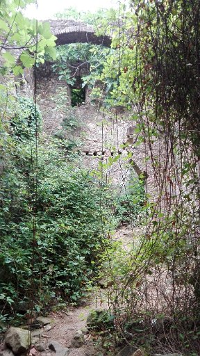 IMG_20160628_125740.jpg - Hisilicon Balong