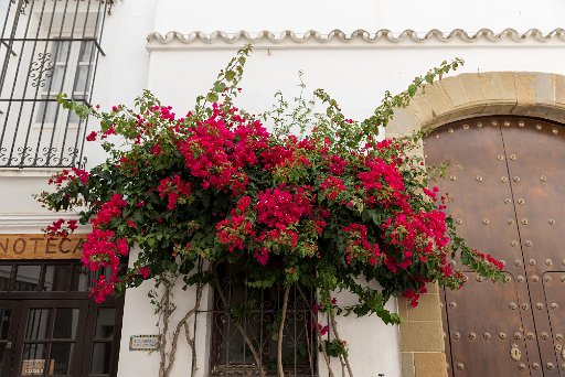 Tarifa_2016_Stadt_018.jpg
