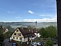 IMG_0833.jpg