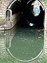 IMG_0941.jpg