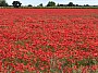 IMG_1158.jpg