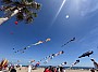 IMG_1219.jpg