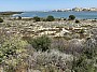 IMG_1280.jpg