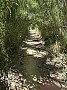 IMG_1313.jpg