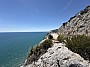 IMG_1360.jpg