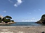 IMG_1422.jpg