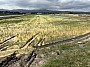 IMG_1429.jpg