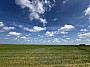 IMG_1433.jpg