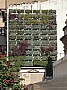 IMG_1466.jpg
