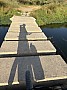 IMG_1467.jpg