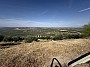 IMG_1571.jpg