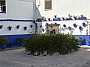 IMG_1586.jpg