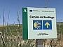 IMG_1595.jpg