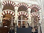IMG_1628.jpg
