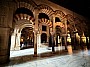 IMG_1687.jpg