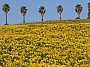 IMG_1744.jpg